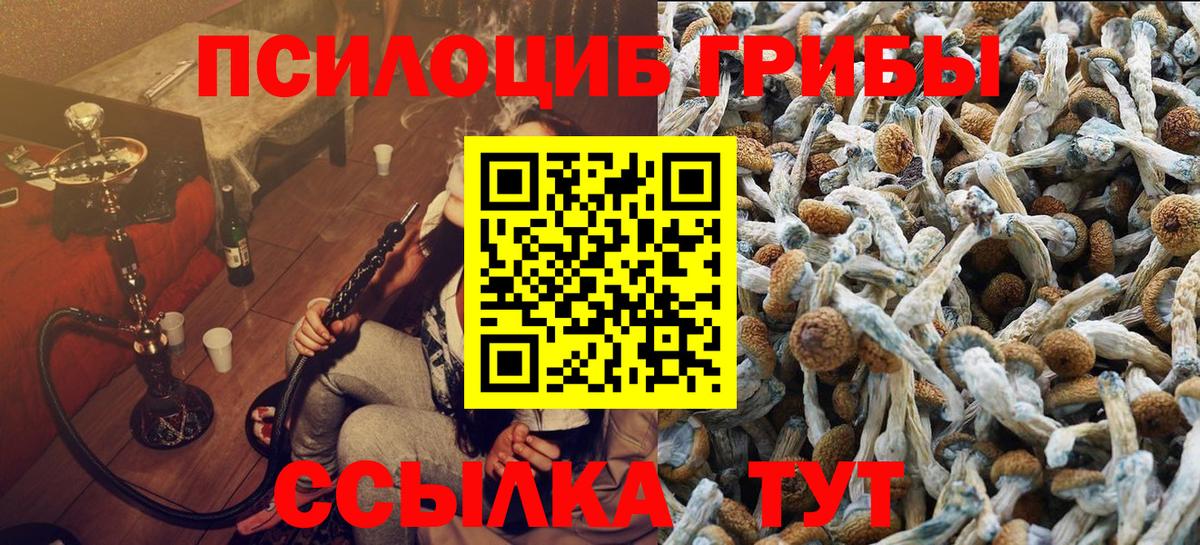 Галлюциногенные грибы GOLDEN TEACHER Тольятти